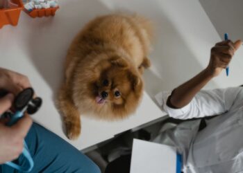 Veterinary